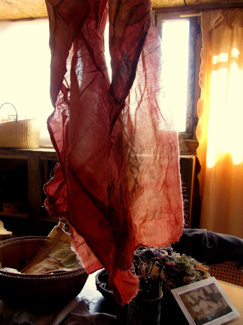 IMG_8008f IMG_8008f