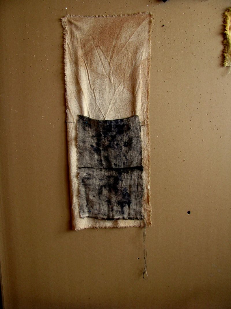 IMG_7905f IMG_7905f