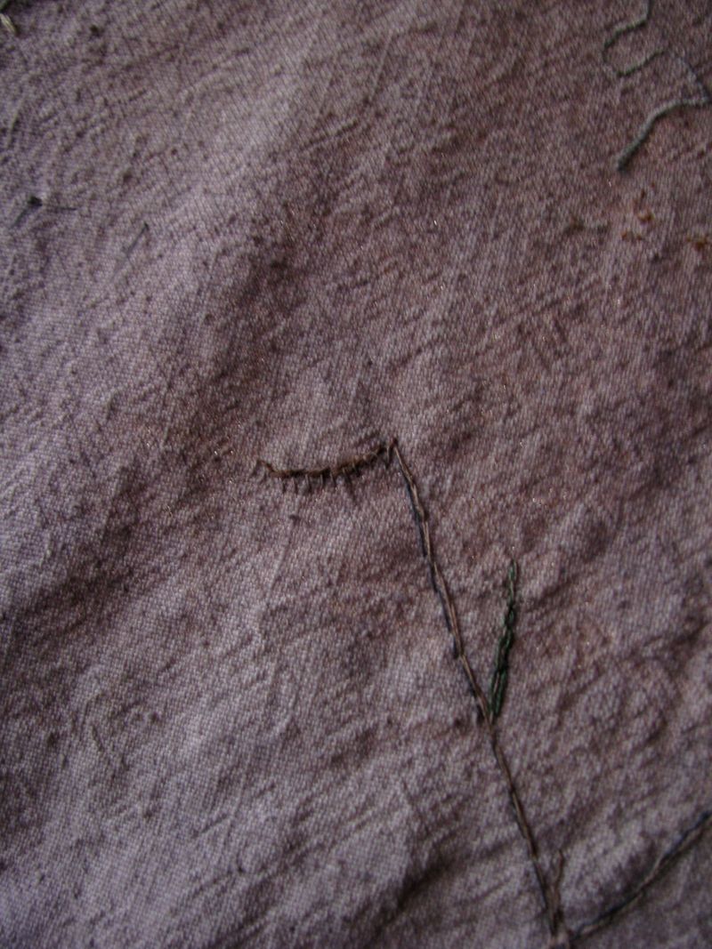 IMG_7885f IMG_7885f