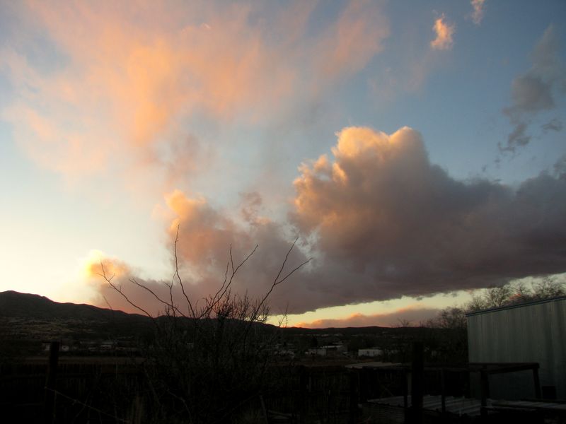 IMG_8287f IMG_8287f