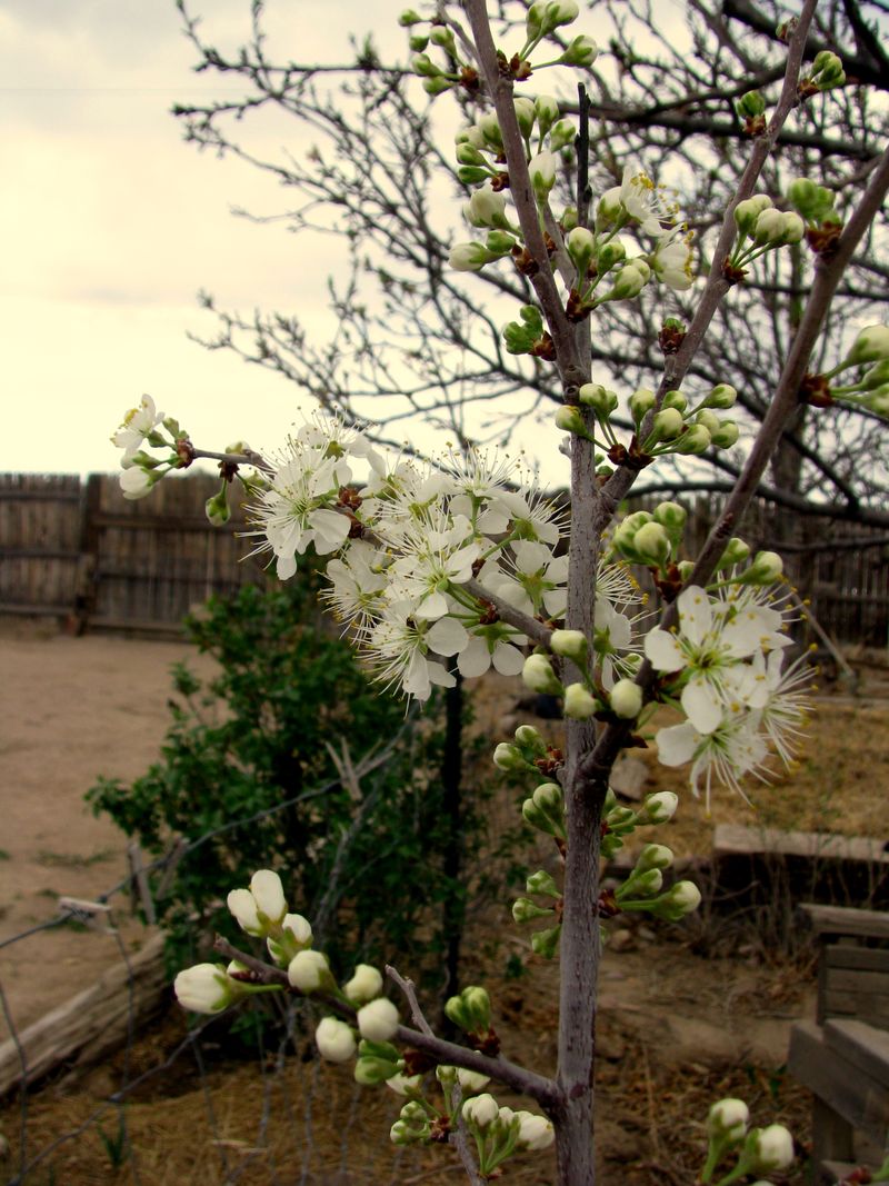 IMG_8588f IMG_8588f