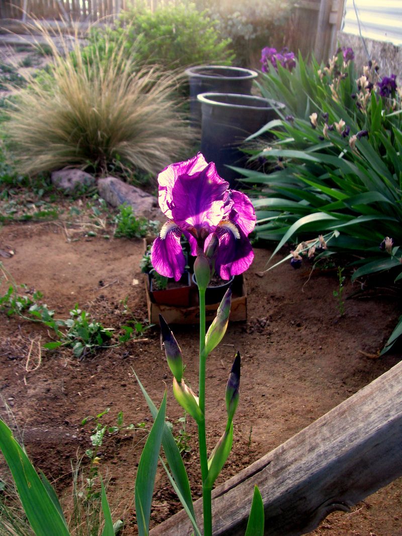IMG_8821f IMG_8821f