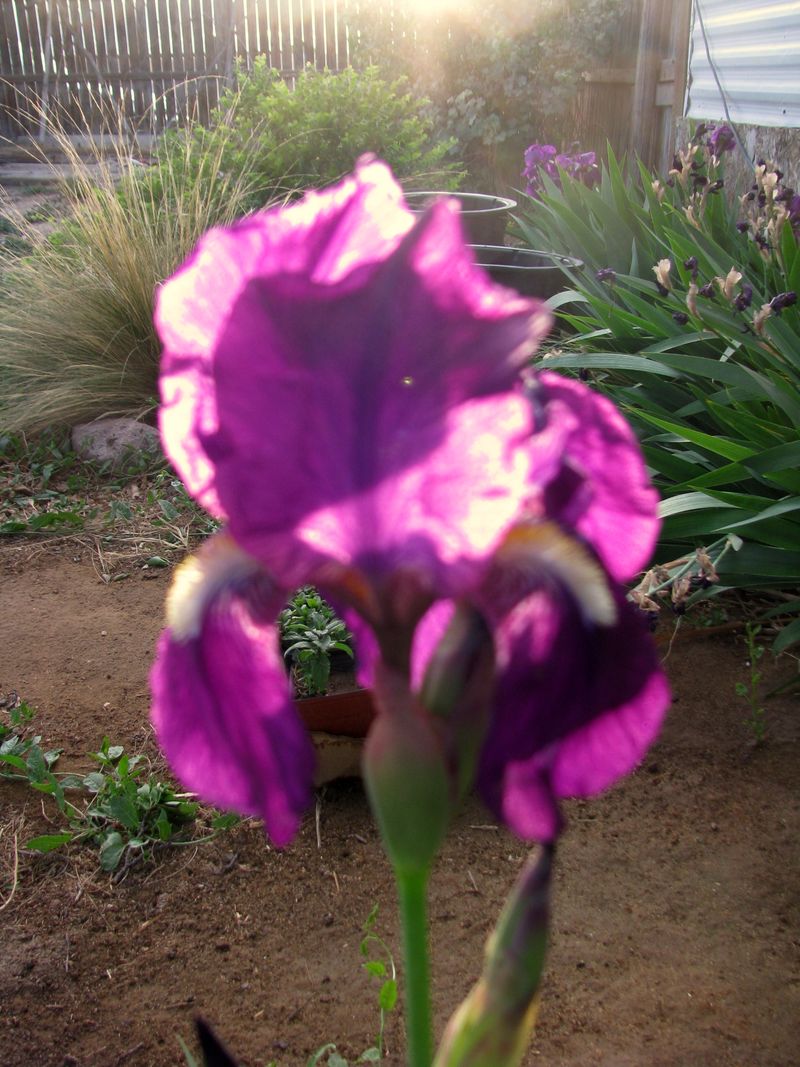 IMG_8819f IMG_8819f