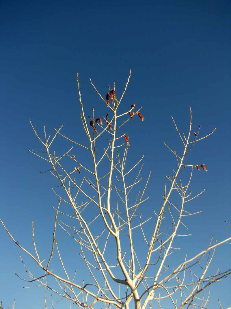 IMG_8624f IMG_8624f
