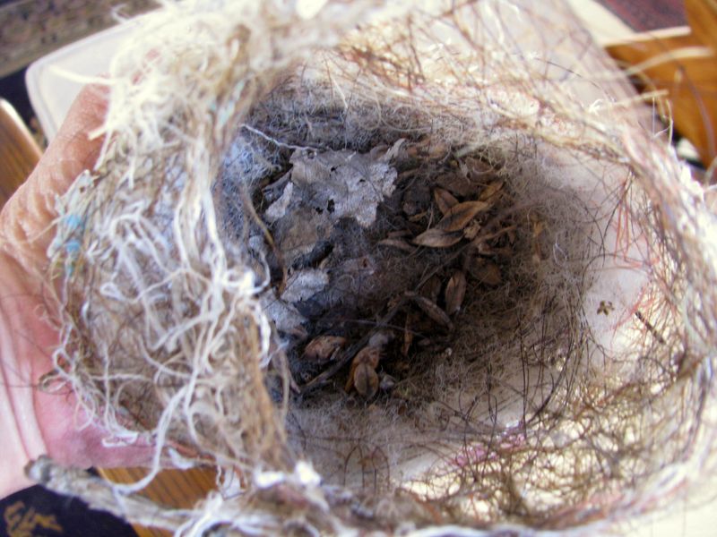 IMG_9076f IMG_9076f