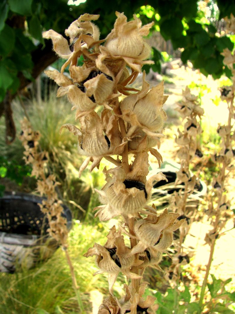 IMG_9740f IMG_9740f