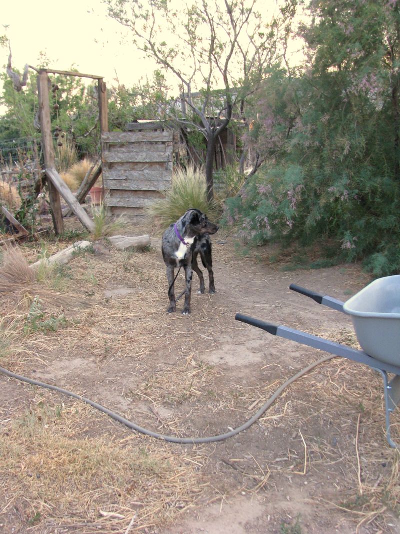 IMG_9719f IMG_9719f
