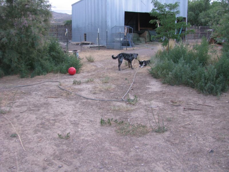 IMG_9590 IMG_9590
