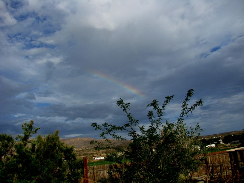 IMG_9509f IMG_9509f