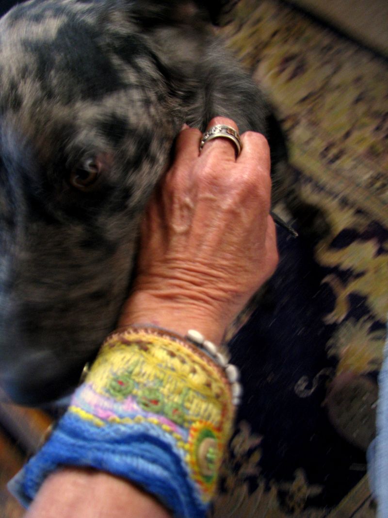 IMG_0293f IMG_0293f