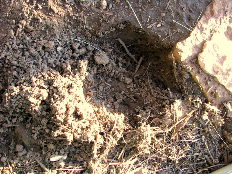 IMG_0612f IMG_0612f