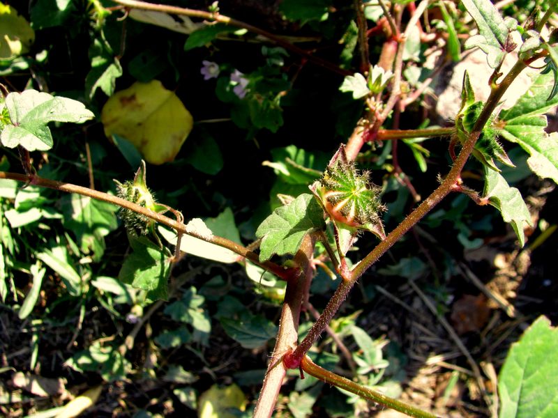 IMG_0904f IMG_0904f