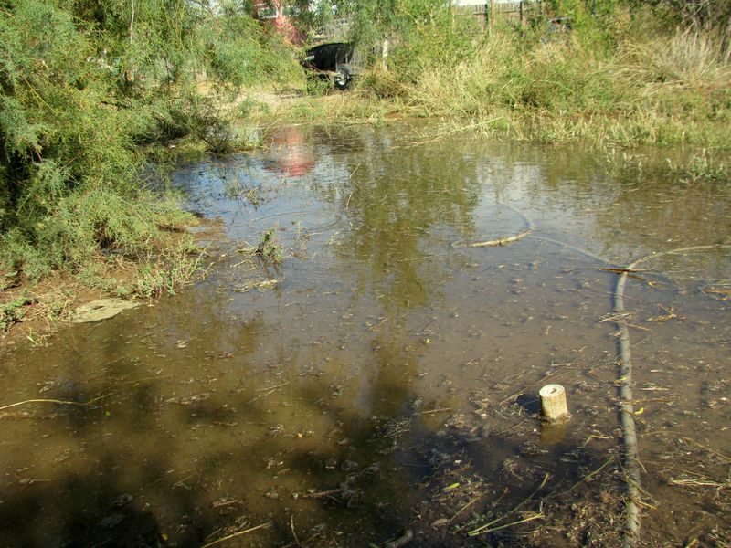 IMG_0870f IMG_0870f