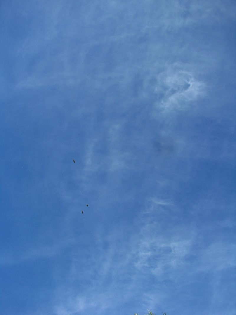 IMG_0876f IMG_0876f