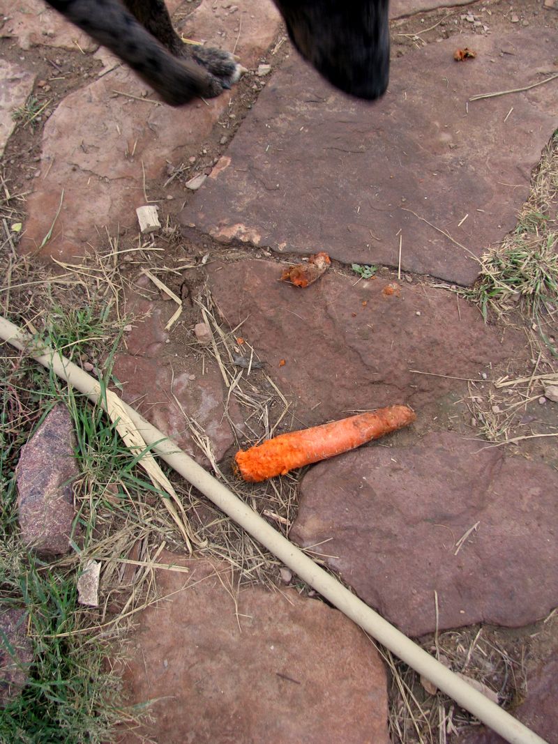 F