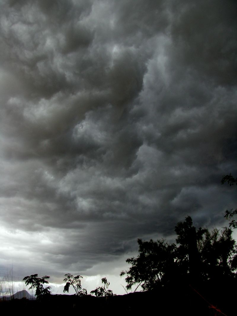 IMG_0729f IMG_0729f