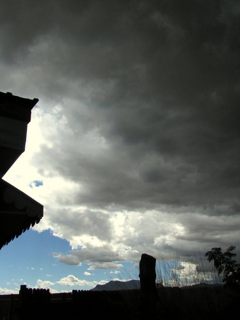 IMG_0726f IMG_0726f