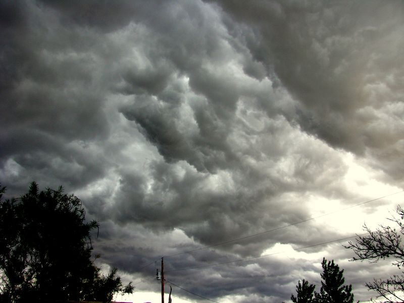 IMG_0727f IMG_0727f