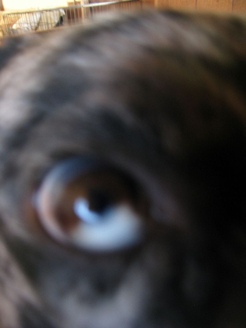 IMG_0660f IMG_0660f
