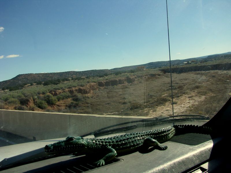 IMG_1219f IMG_1219f