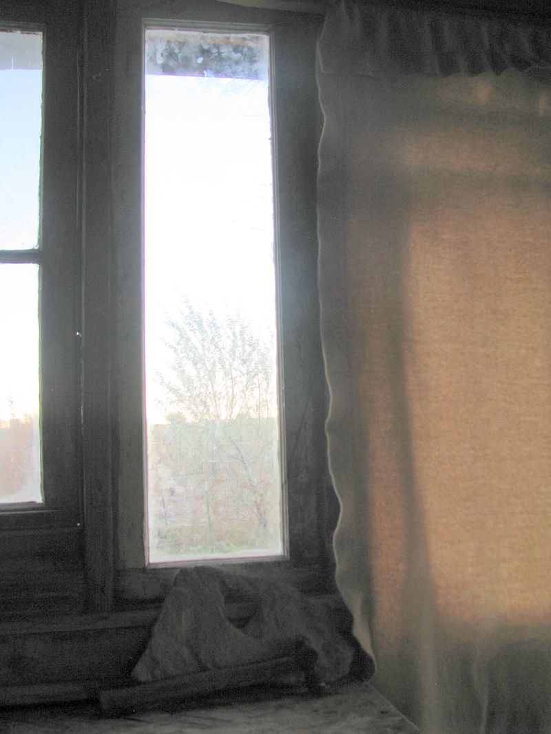IMG_1163f IMG_1163f