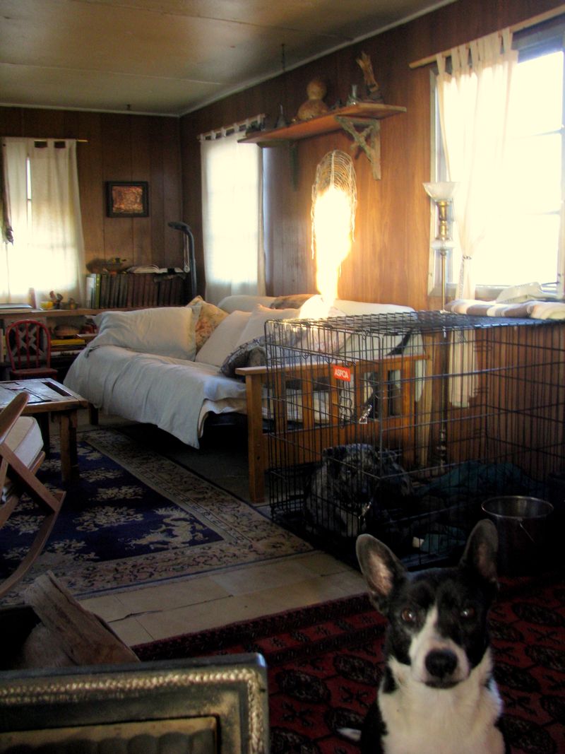 IMG_1108f IMG_1108f