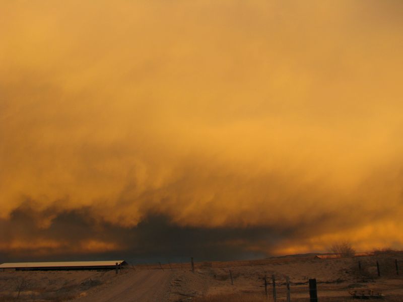 IMG_1598f IMG_1598f