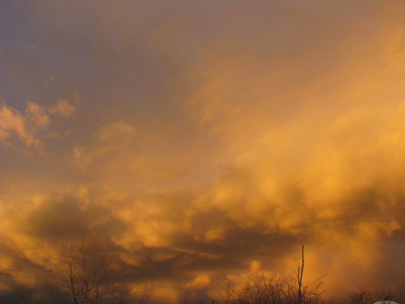 IMG_1603 IMG_1603
