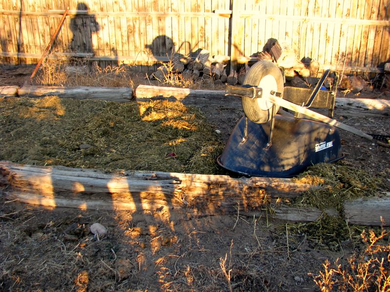 IMG_1529g IMG_1529g