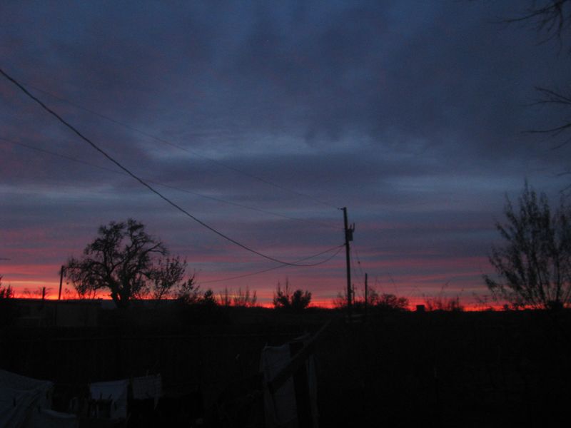 IMG_1396 IMG_1396