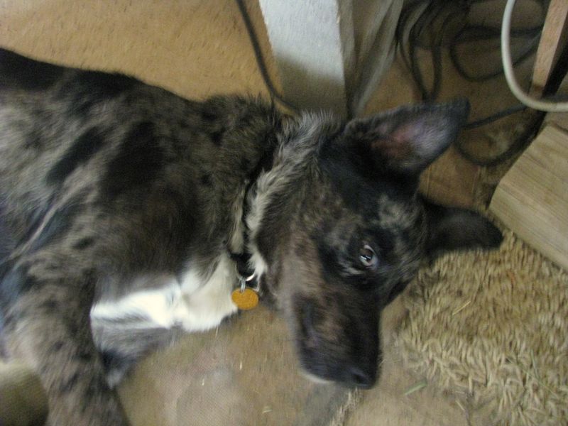 IMG_1988f IMG_1988f