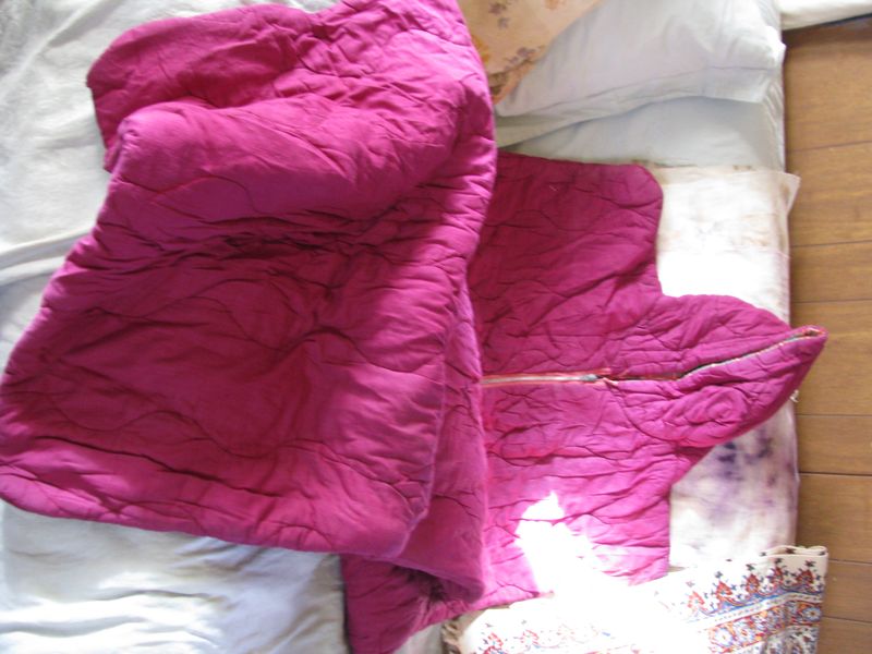 IMG_1922 IMG_1922