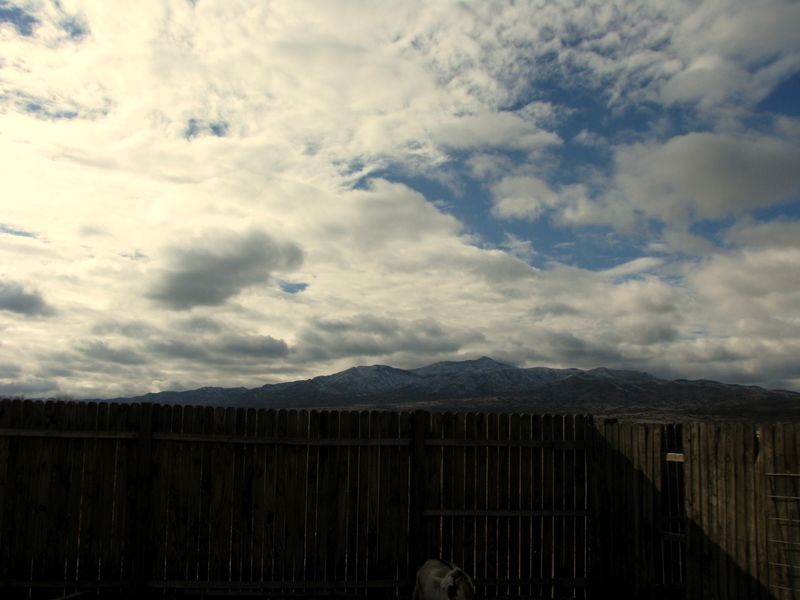 IMG_1827f IMG_1827f