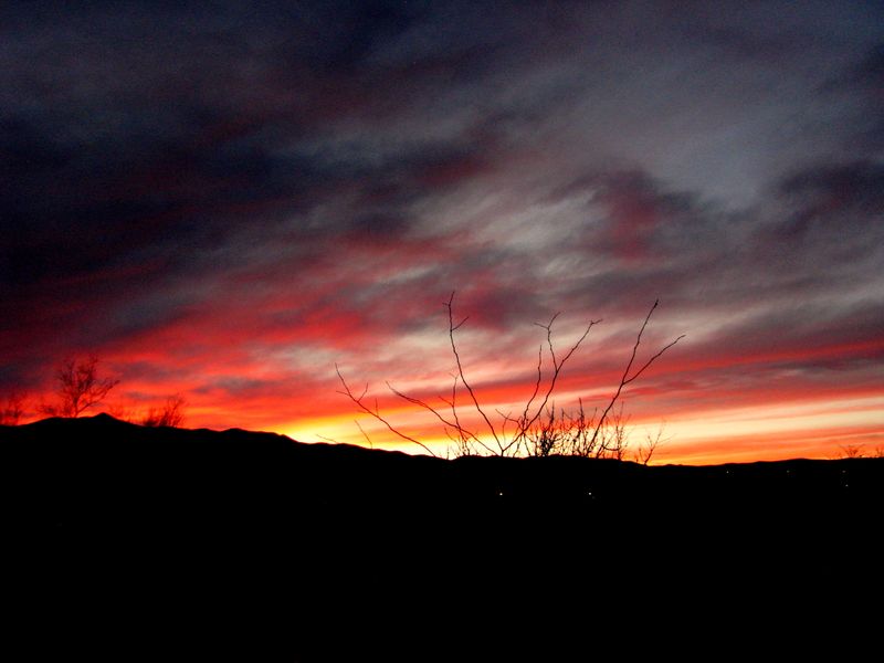 IMG_2213f IMG_2213f