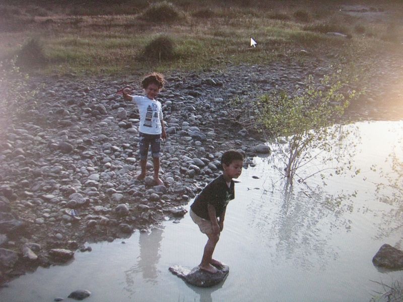 IMG_2657 IMG_2657