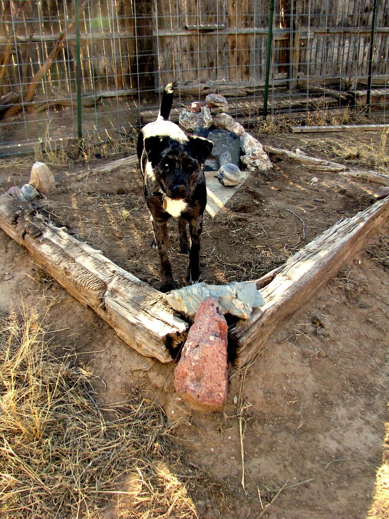 IMG_2413ff IMG_2413ff