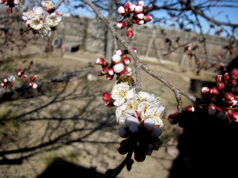 IMG_2388f IMG_2388f
