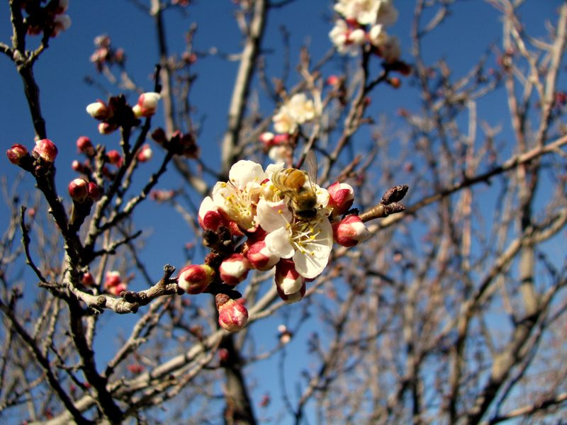IMG_2389f IMG_2389f