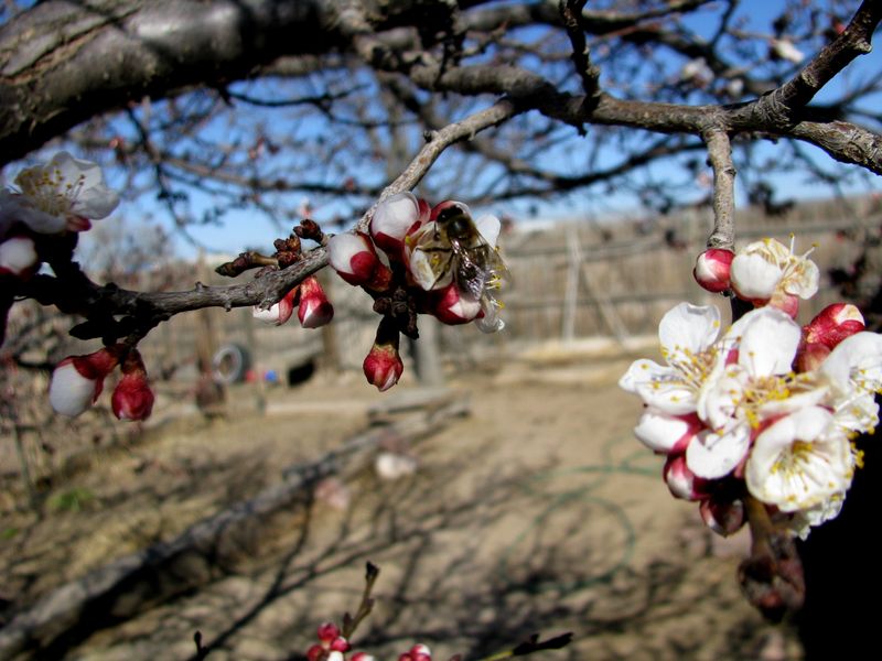 IMG_2390f IMG_2390f