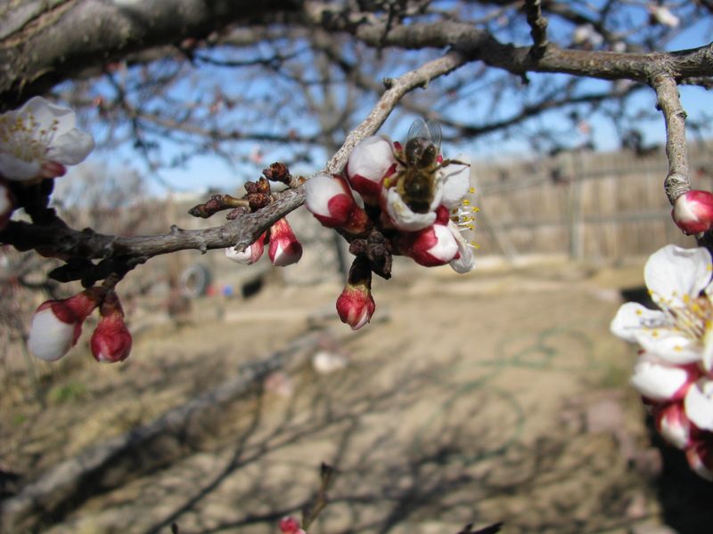 IMG_2391f IMG_2391f