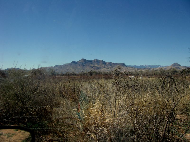 IMG_2358f IMG_2358f