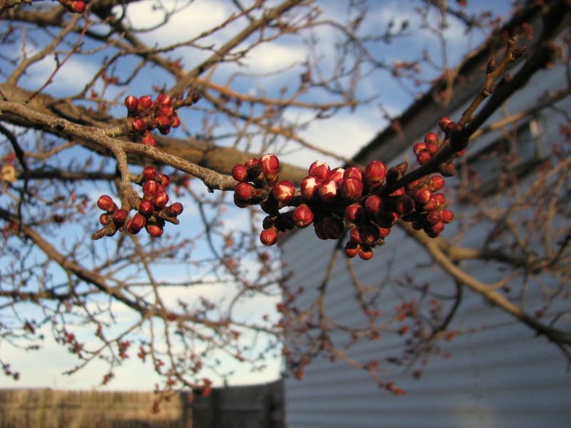 IMG_2305f IMG_2305f