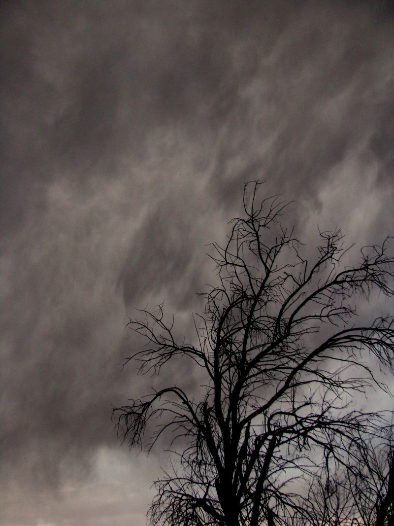 IMG_2861g IMG_2861g