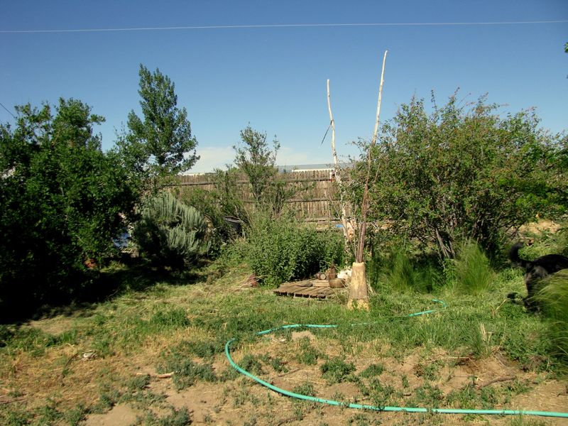 IMG_3232f IMG_3232f