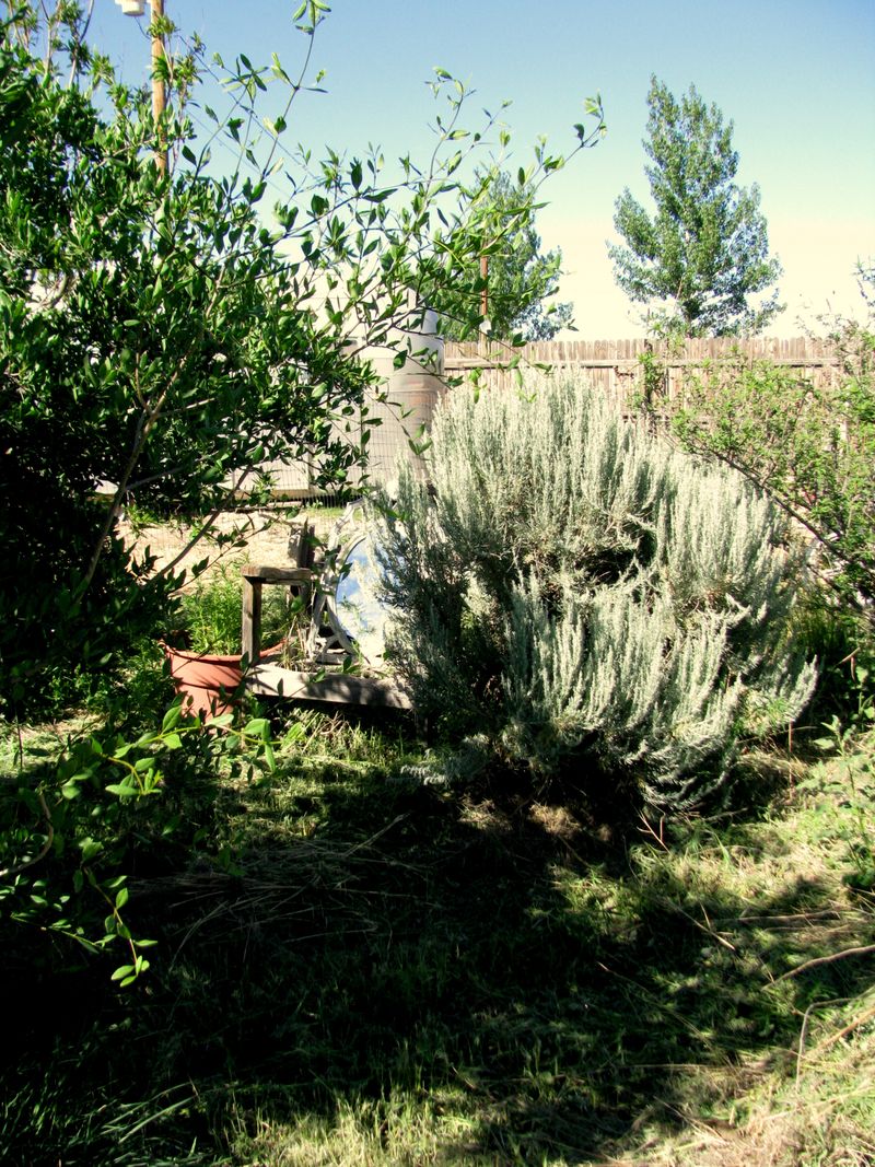 IMG_3235f IMG_3235f