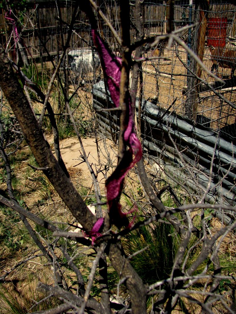 IMG_3121f IMG_3121f