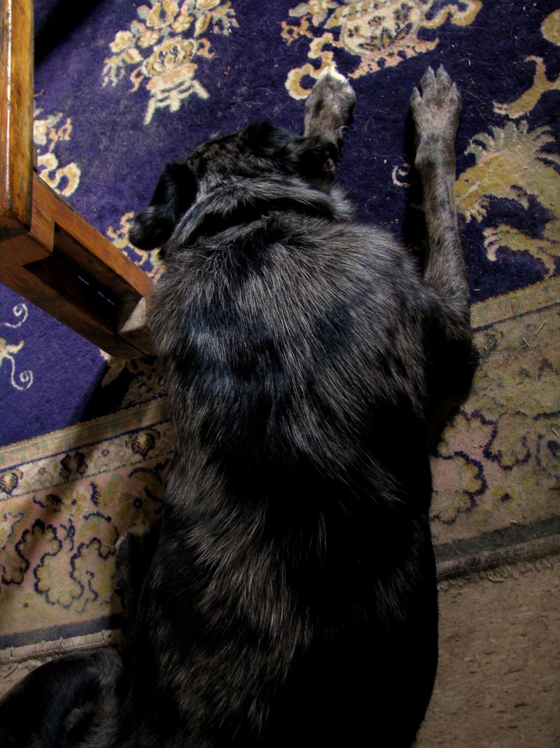 IMG_3880f IMG_3880f