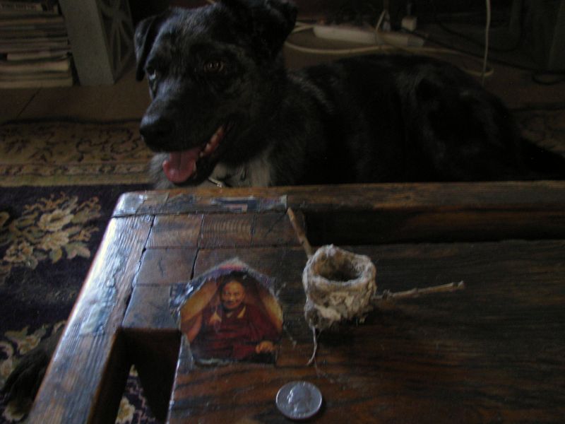 IMG_4135g IMG_4135g