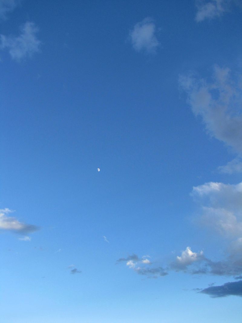 IMG_4636f IMG_4636f