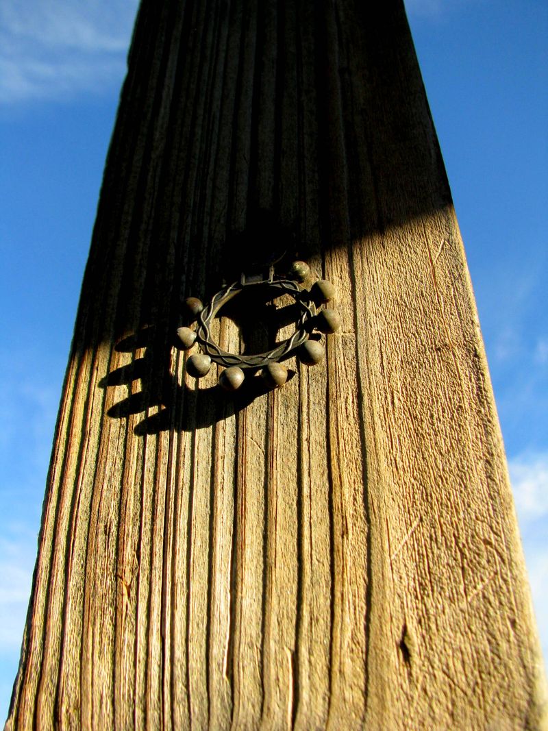 IMG_4535f IMG_4535f